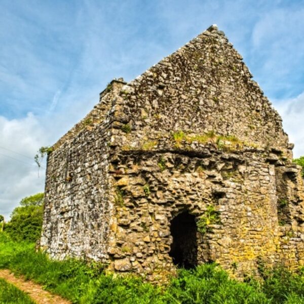 Suposat lloc de naixement d'Hermenegil de Berga